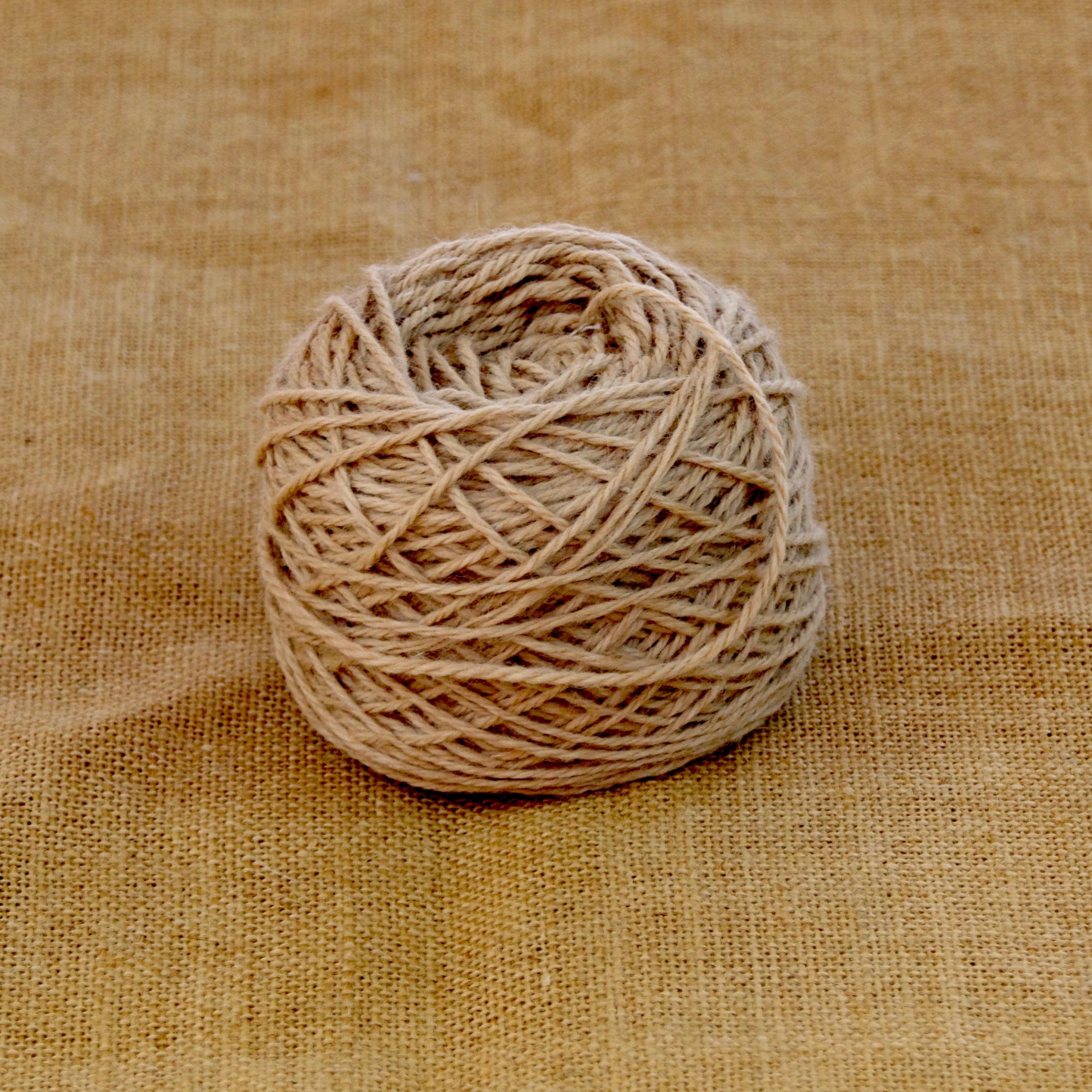 3 NATURALEZA LLANOS Alpacas de la Tierruca Ganadería de Alpacas