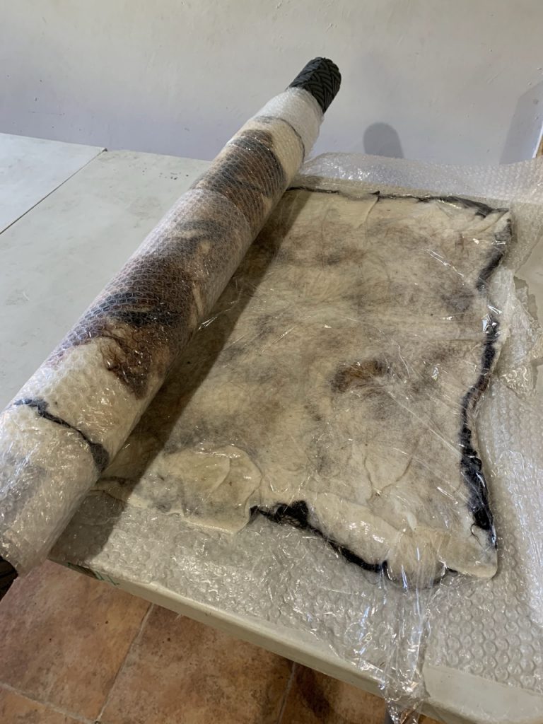 Extraccion del cilindro con el fieltro montado en tamaño grande