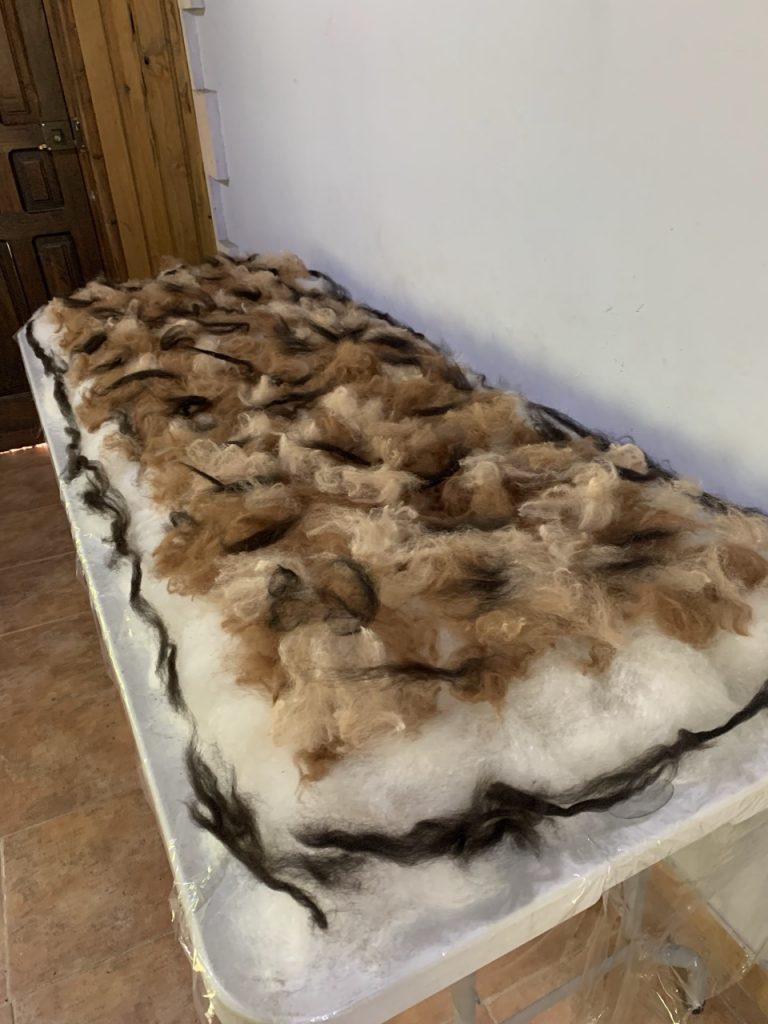 fibra de alpaca en mesa lavada y cardada preparado para fieltro en tamaño grande