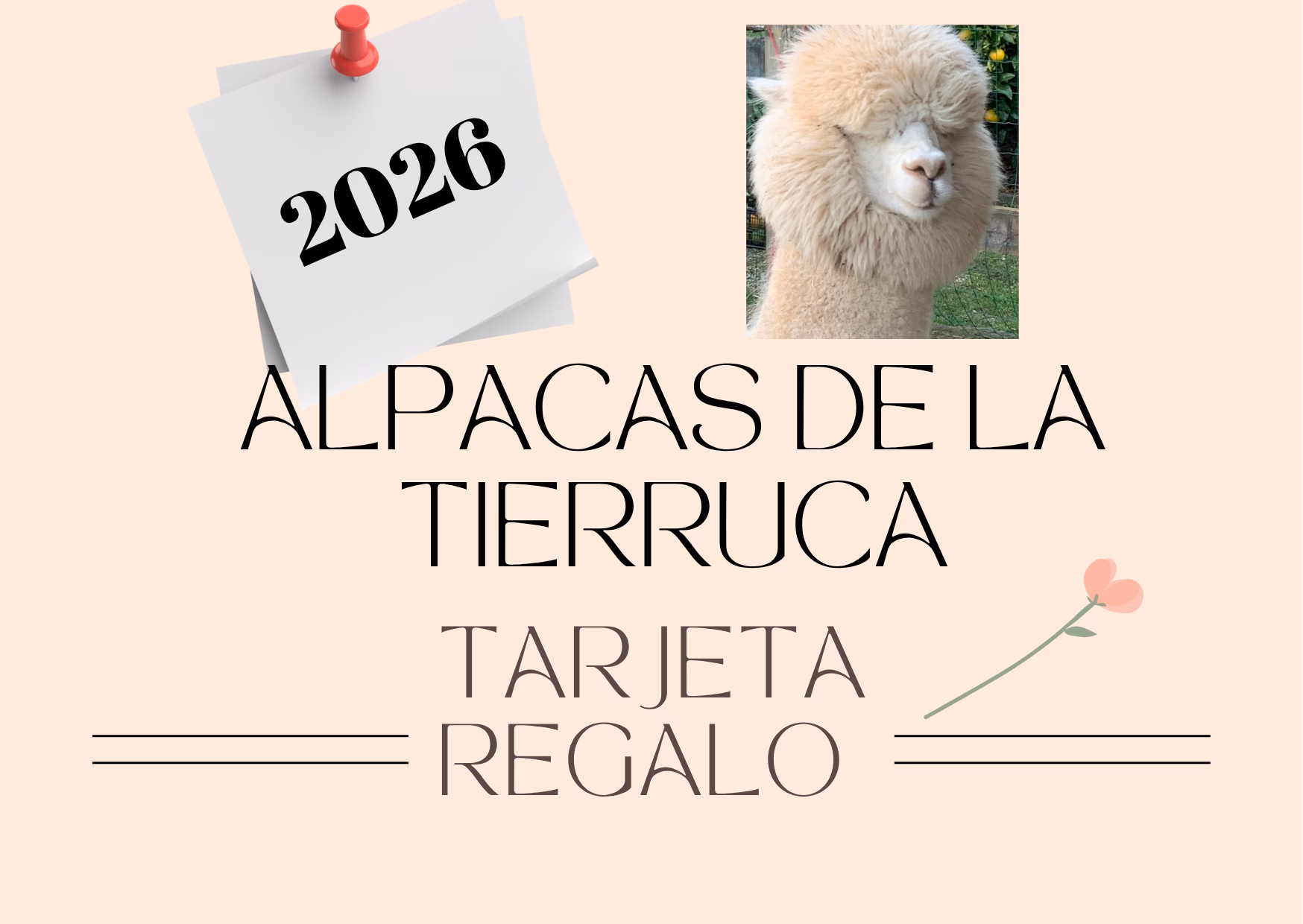 Tarjeta Regalo 2026 "ven a conocer la granja de alpacas"